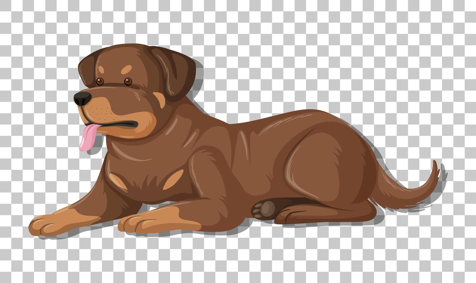 Rottweiler en posición de colocación personaje de dibujos animados aislado sobre fondo transparente vector