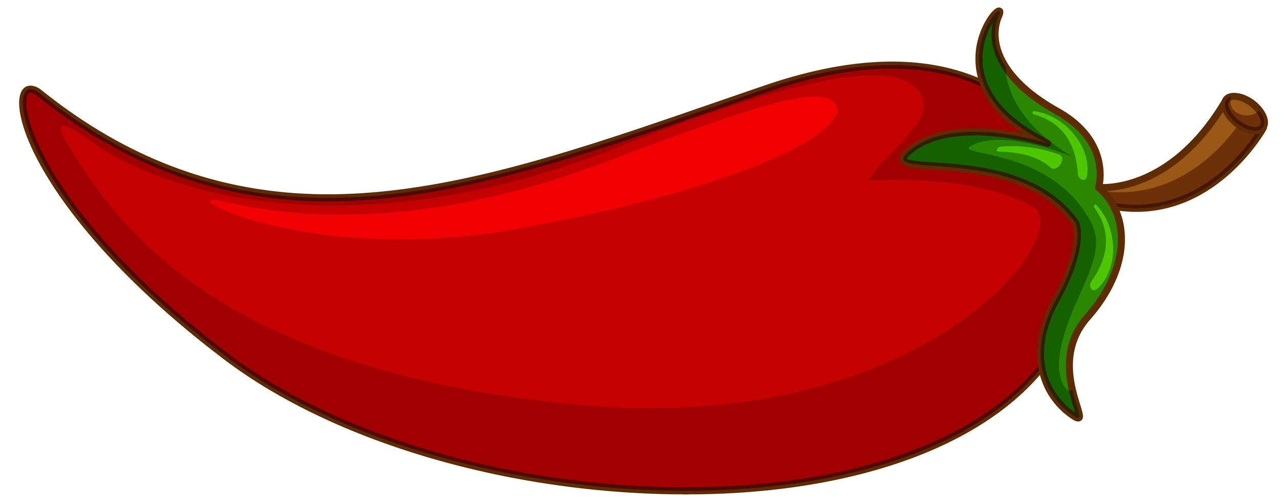 One red chili on white background vector