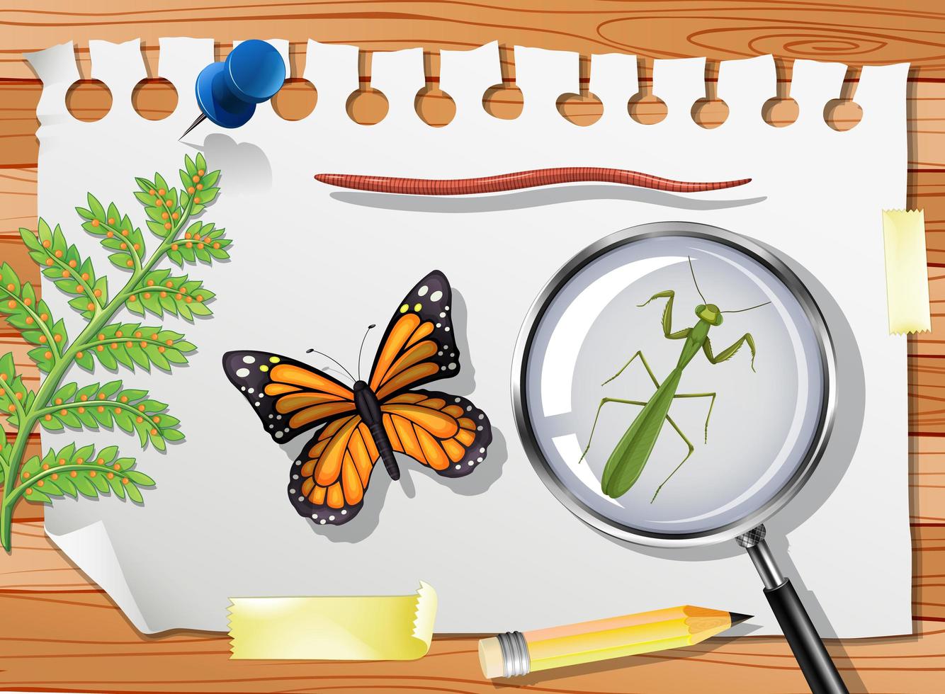 Mariposa con mantis y lupa en la mesa de cerca vector