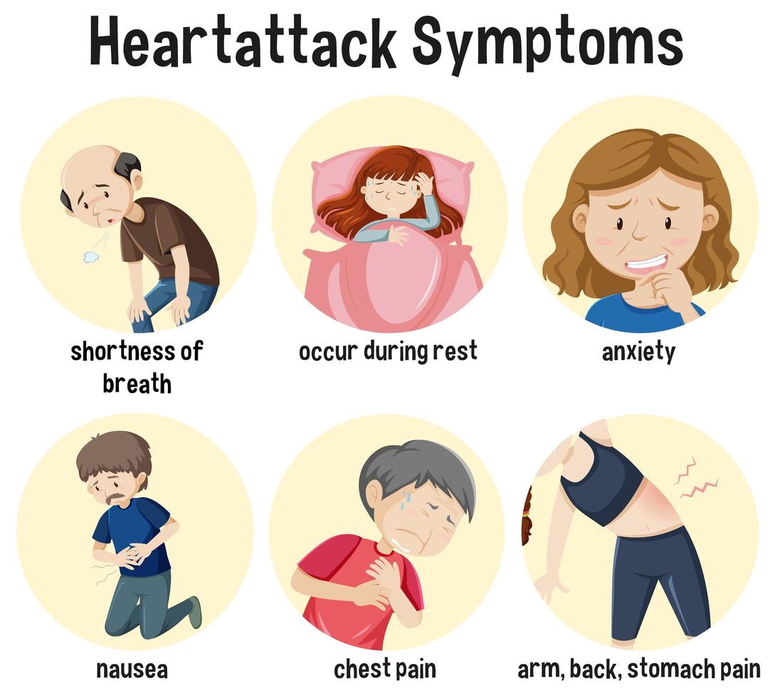 Infografía de información de síntomas de ataque al corazón vector