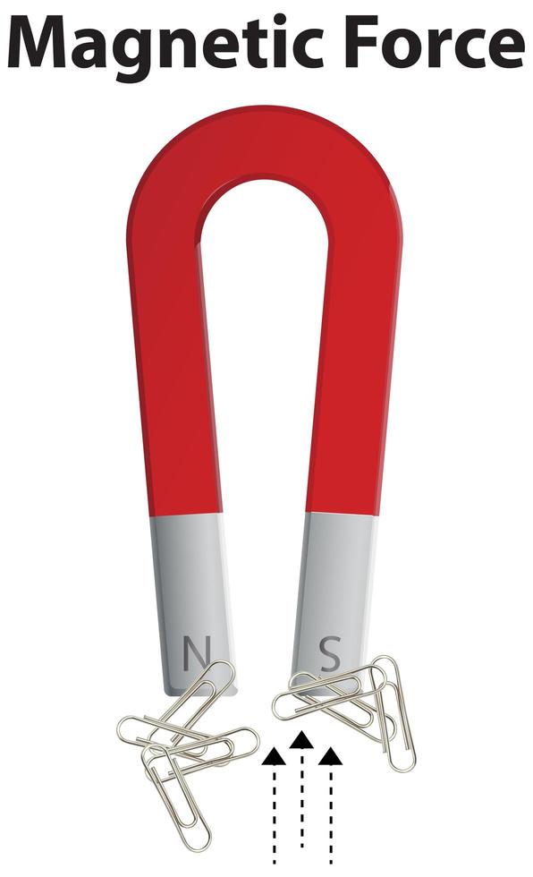 Magnetic Force horseshoes pick paper clips up on white background vector