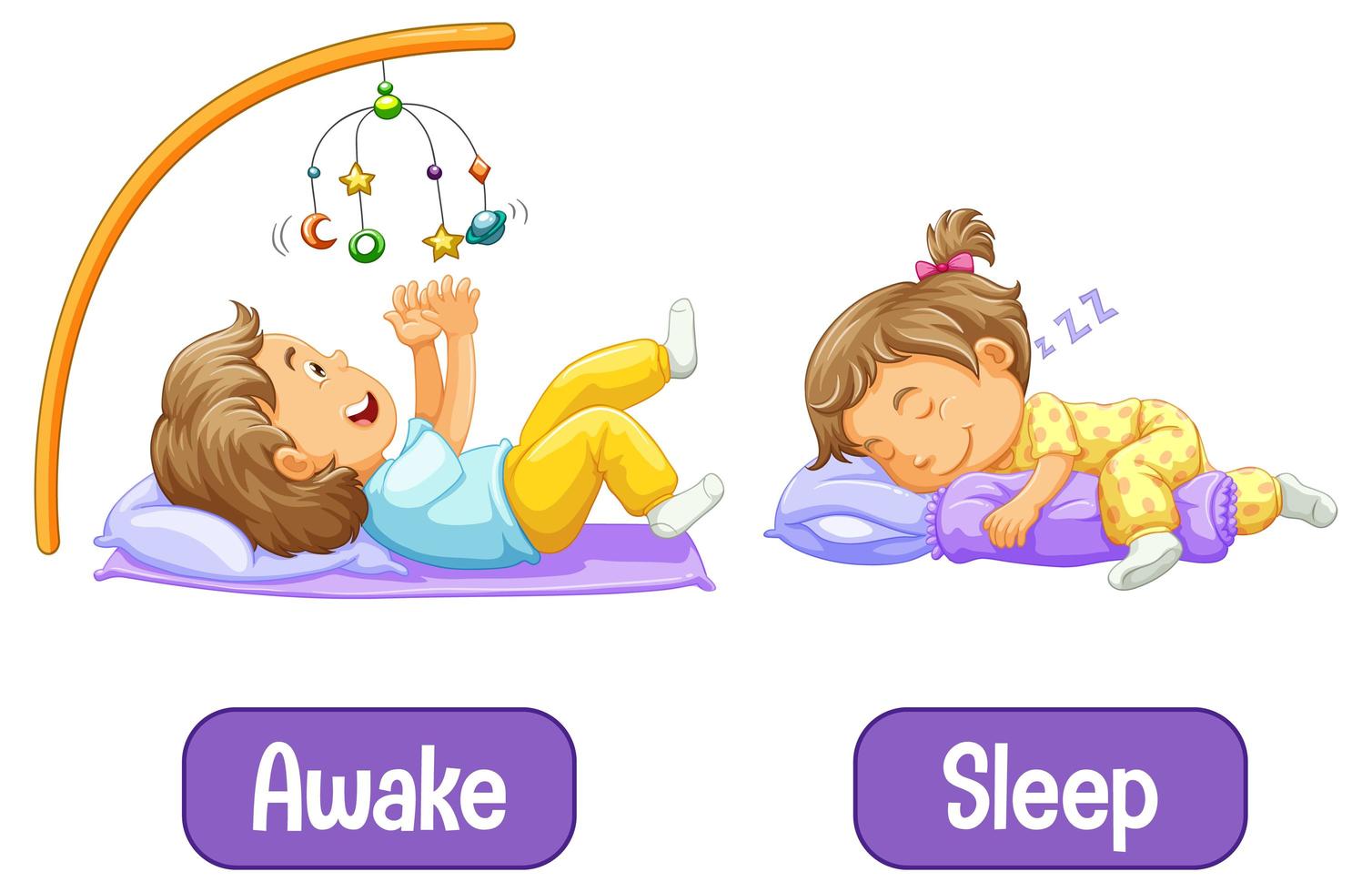 Opposite words with awake and sleep vector