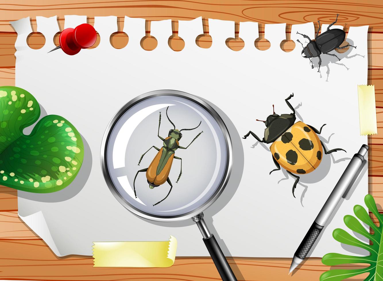 Many different insects on the table close up vector