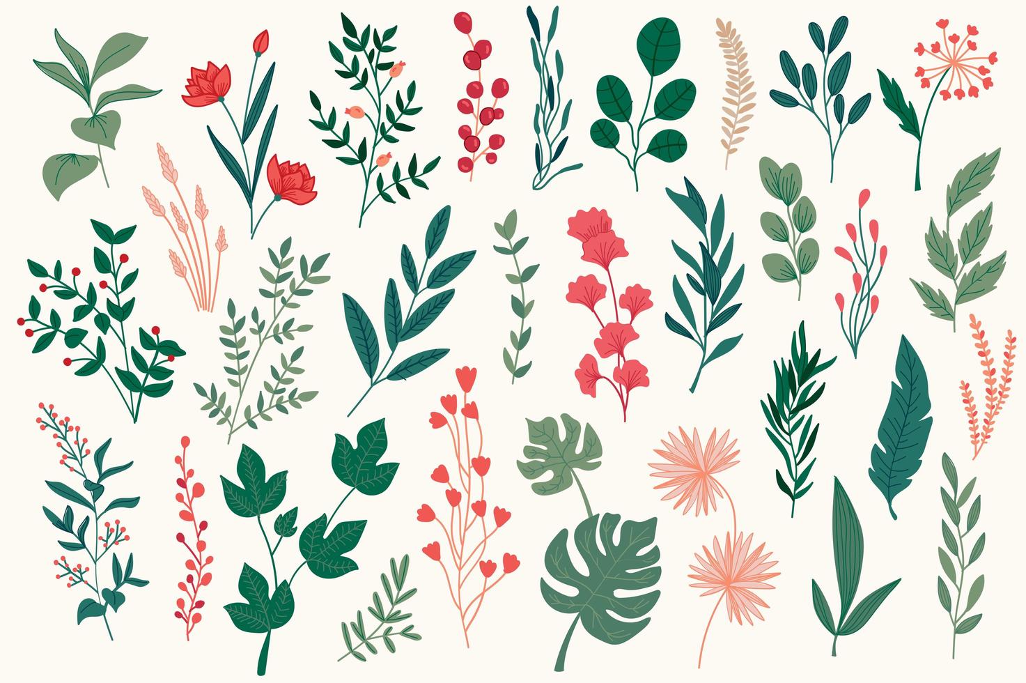 Botanical elements, hand drawn graphic pack. vector