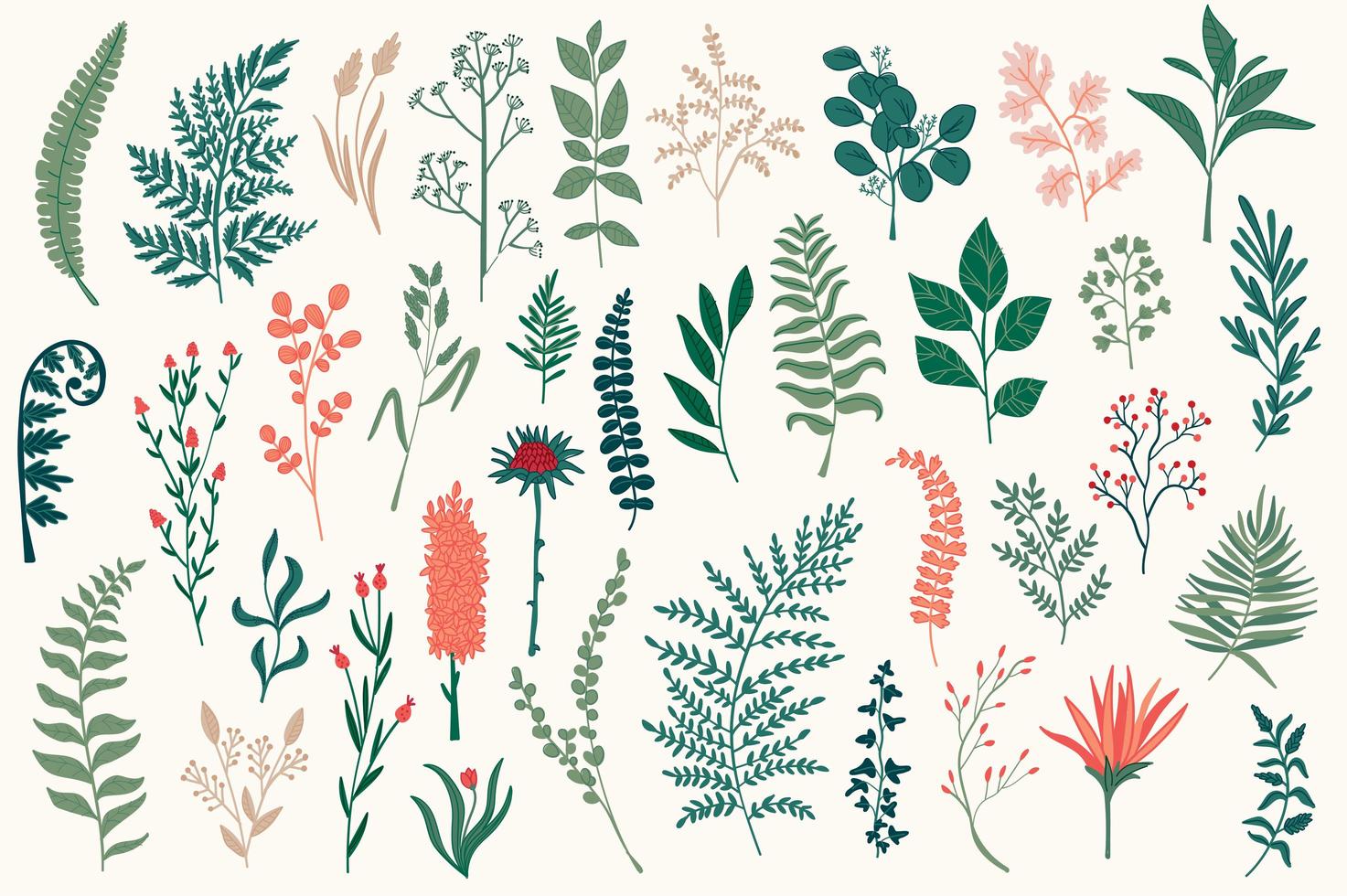 Wildflower decorative elements set vector