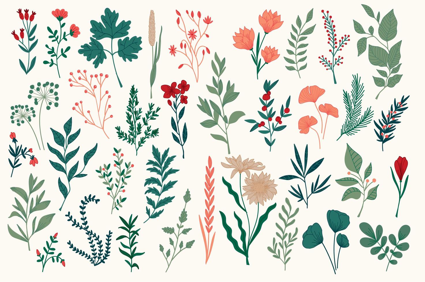 Hand drawn colorful botanical design pack vector