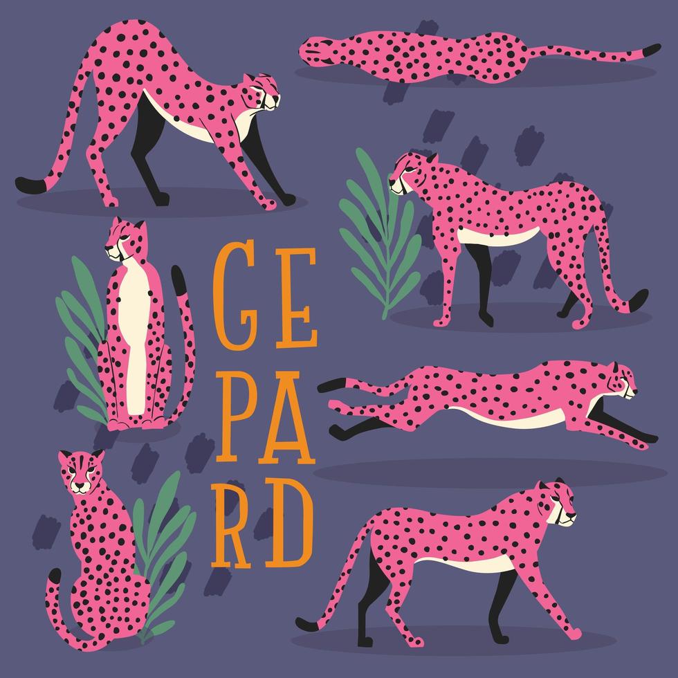 Collection of cute hand drawn pink cheetahs vector