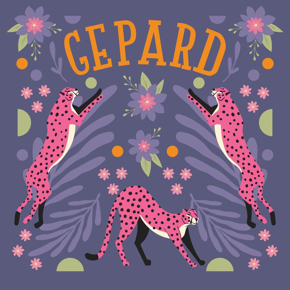 Collection of cute pink cheetahs jumping and stretching vector