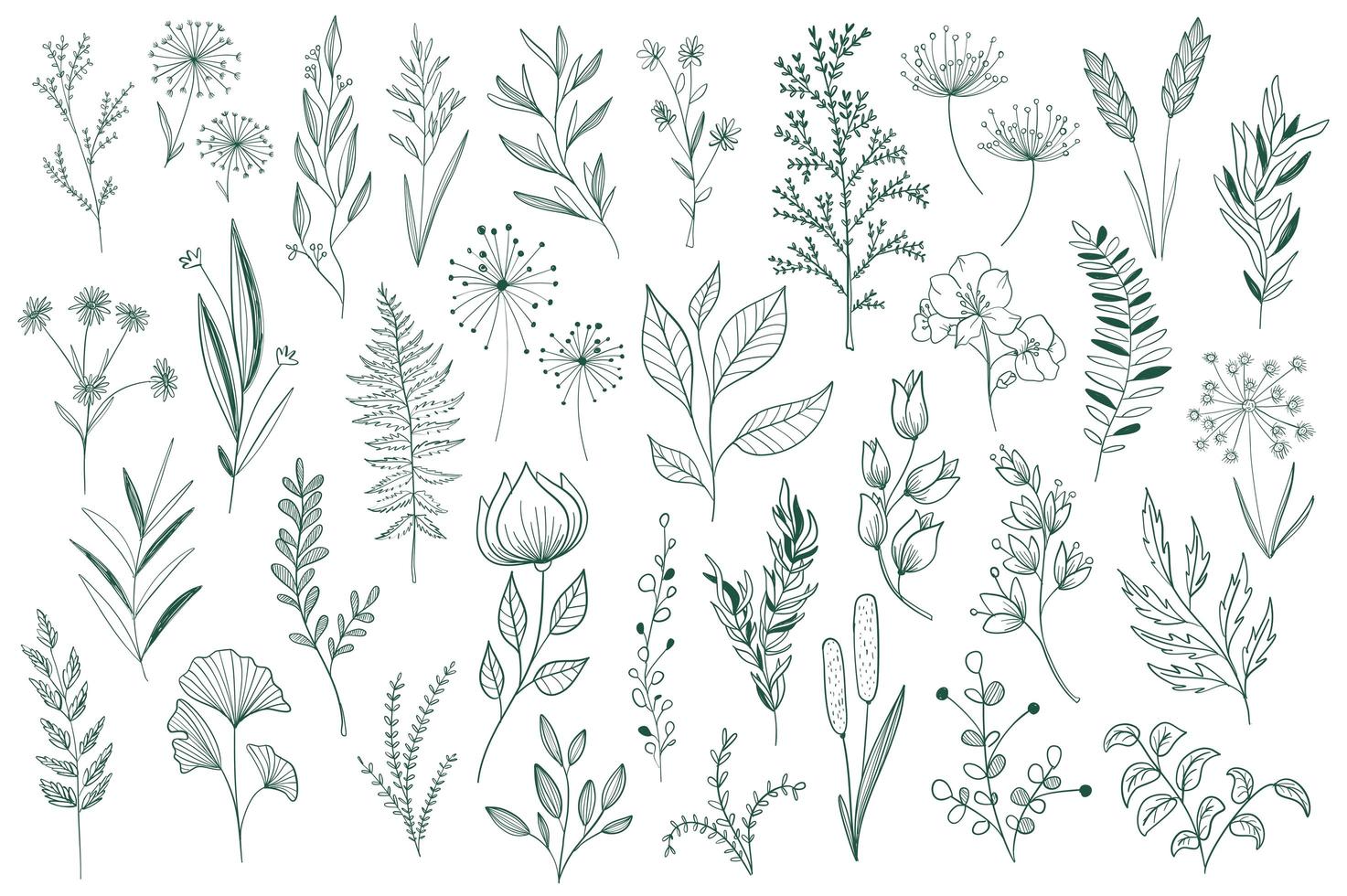 Hand drawn floral decorative elements set vector