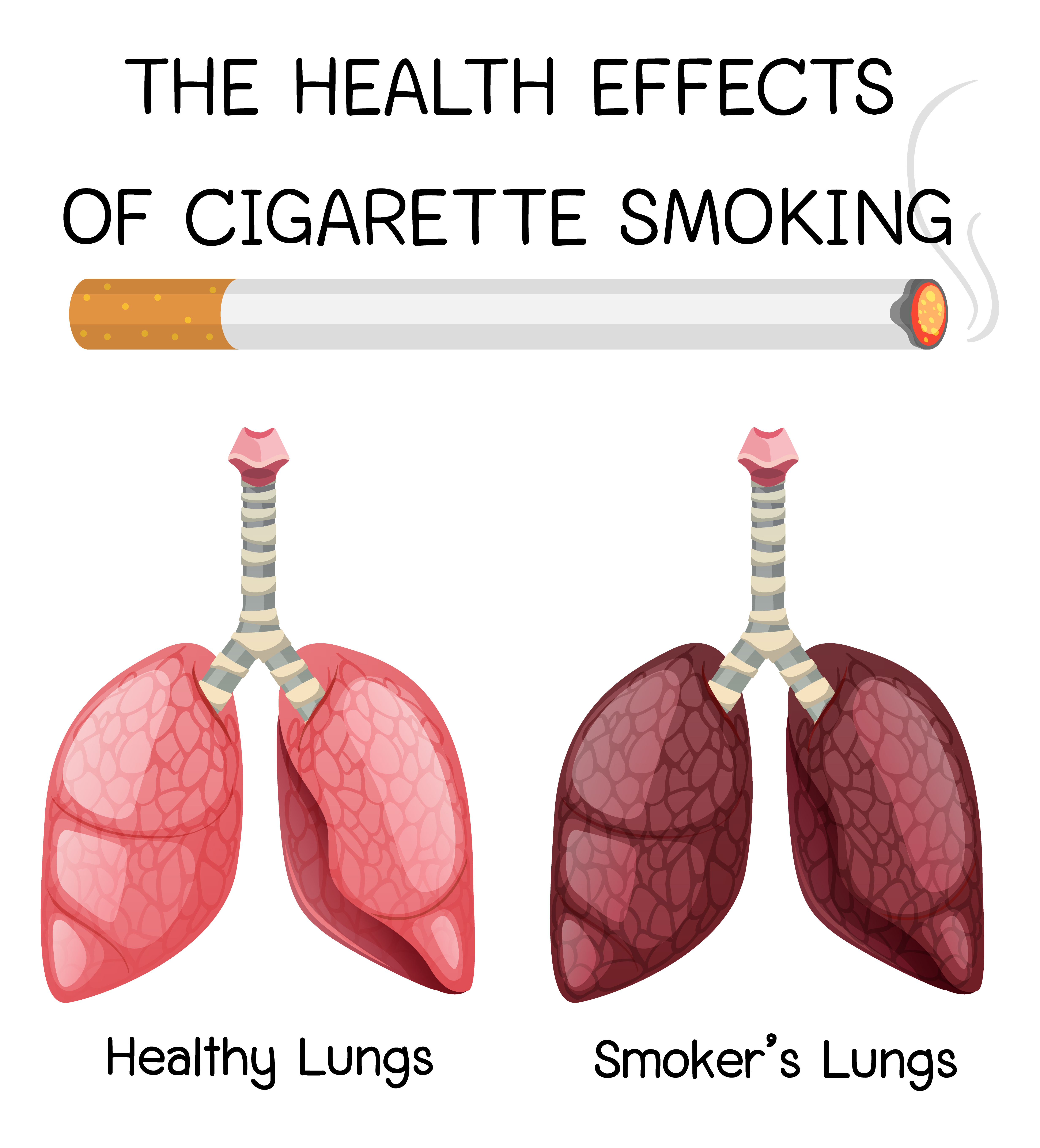 effects of smoking on the lungs