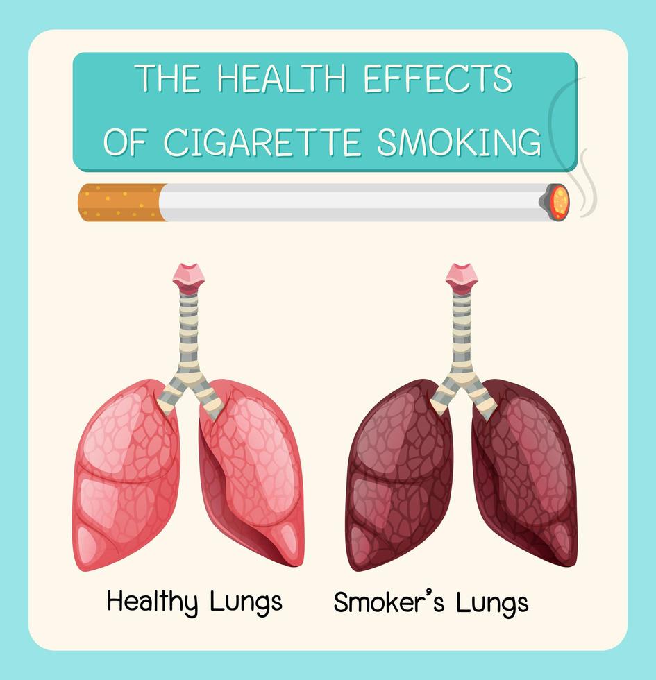cartel sobre los efectos del tabaquismo en la salud vector