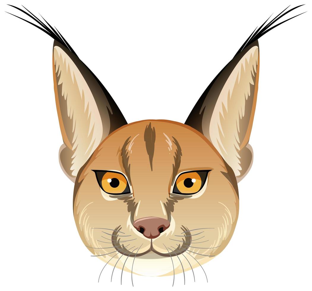 Cabeza de gato caracal sobre fondo blanco. vector