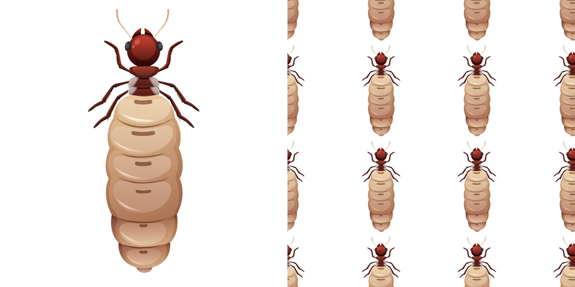 Termite insects isolated on white background and seamless vector