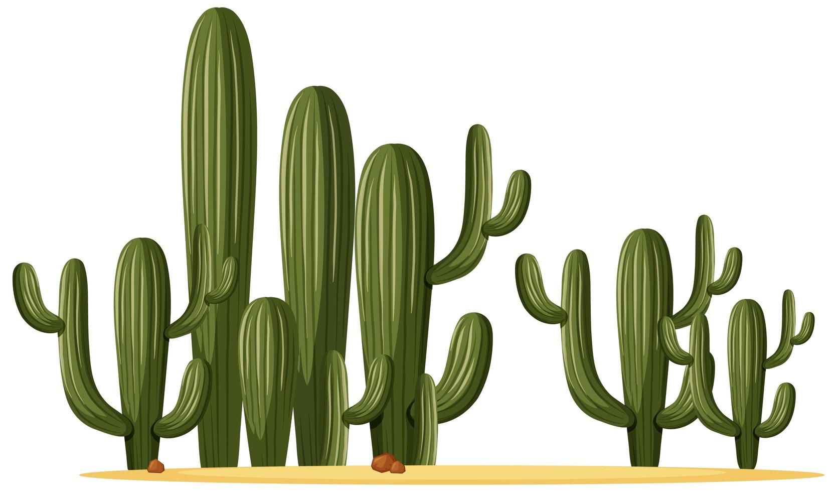 diferentes formas de cactus en un grupo. vector