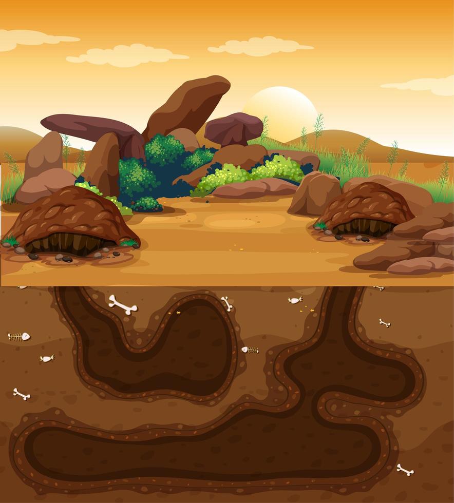 Empty underground animal hole vector