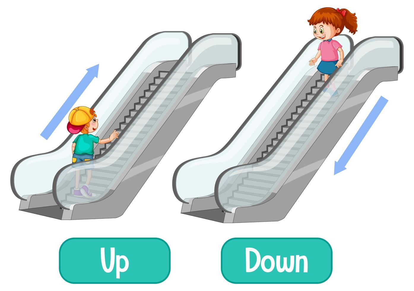 Opposite words with up and down vector