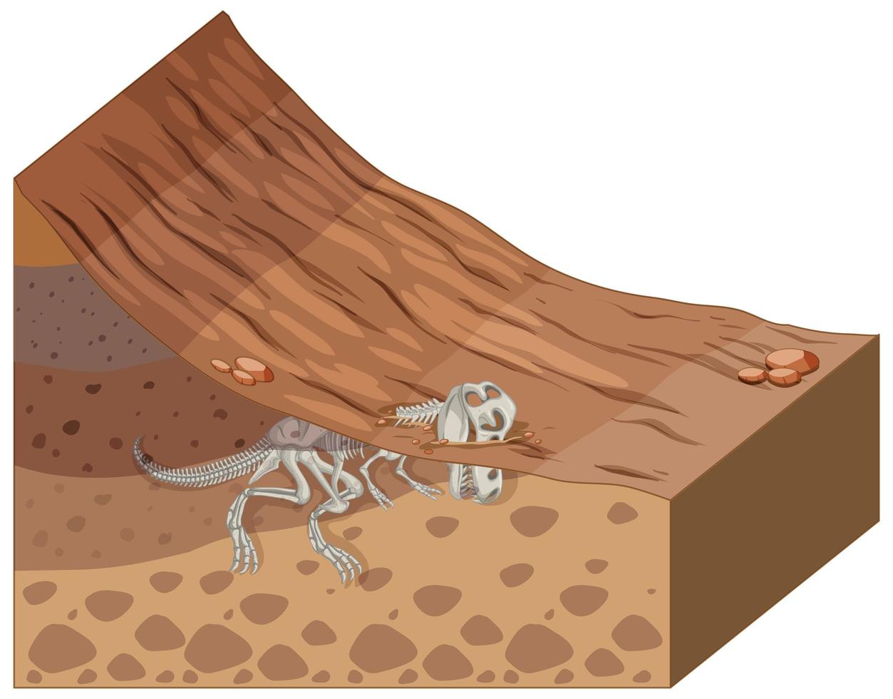 Soil layers with dinosaur fossil vector