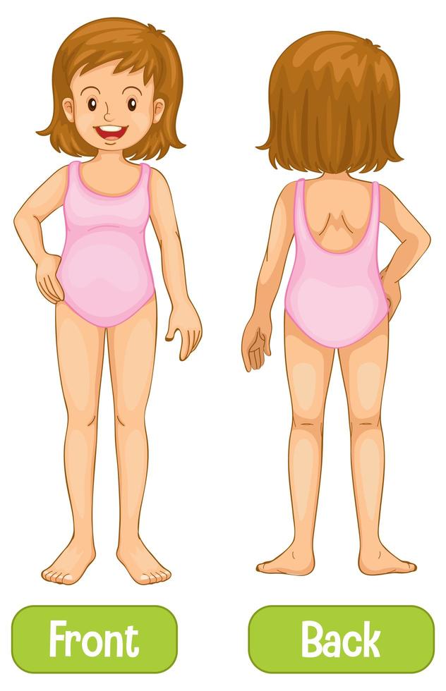 Opposite words with front and back of young woman vector