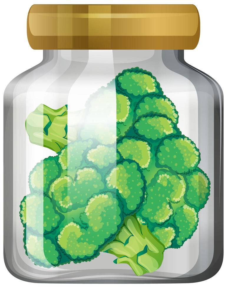 Broccoli in the glass jar vector