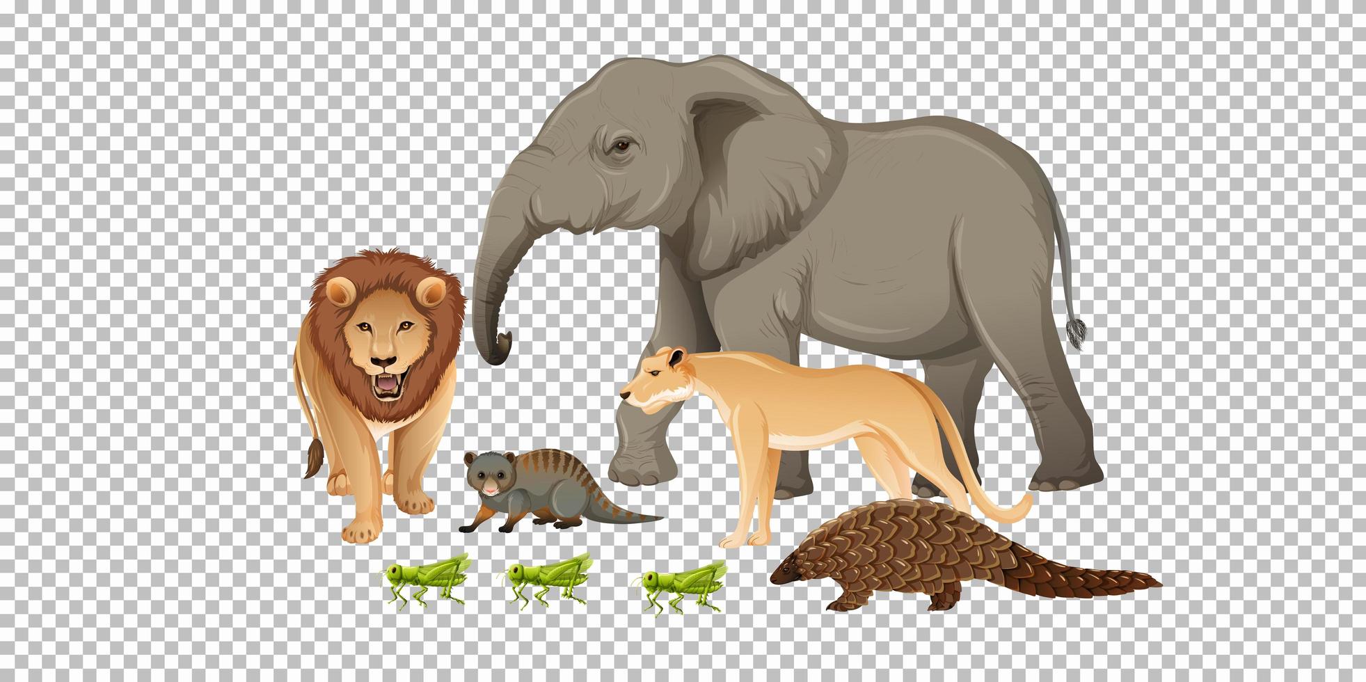 Grupo de animales salvajes africanos sobre fondo transparente vector