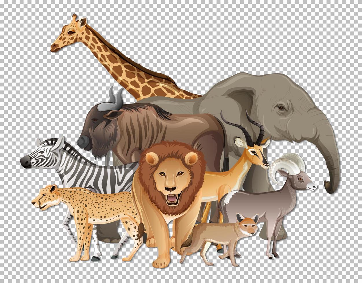 Group of wild african animals on transparent background vector