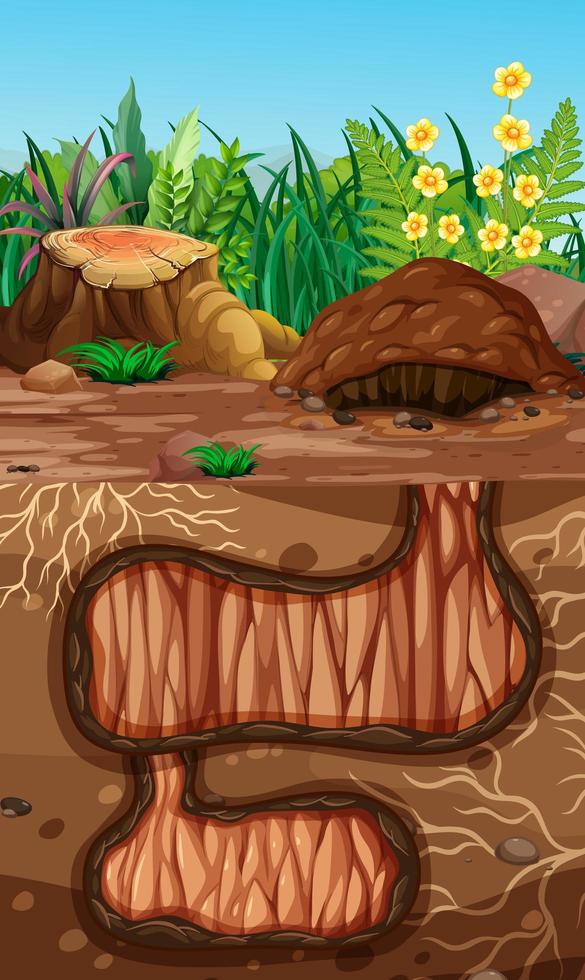 Empty underground animal hole vector