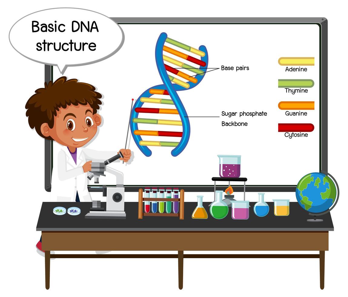 Joven científico explicando la estructura básica del ADN frente a un tablero con elementos de laboratorio vector