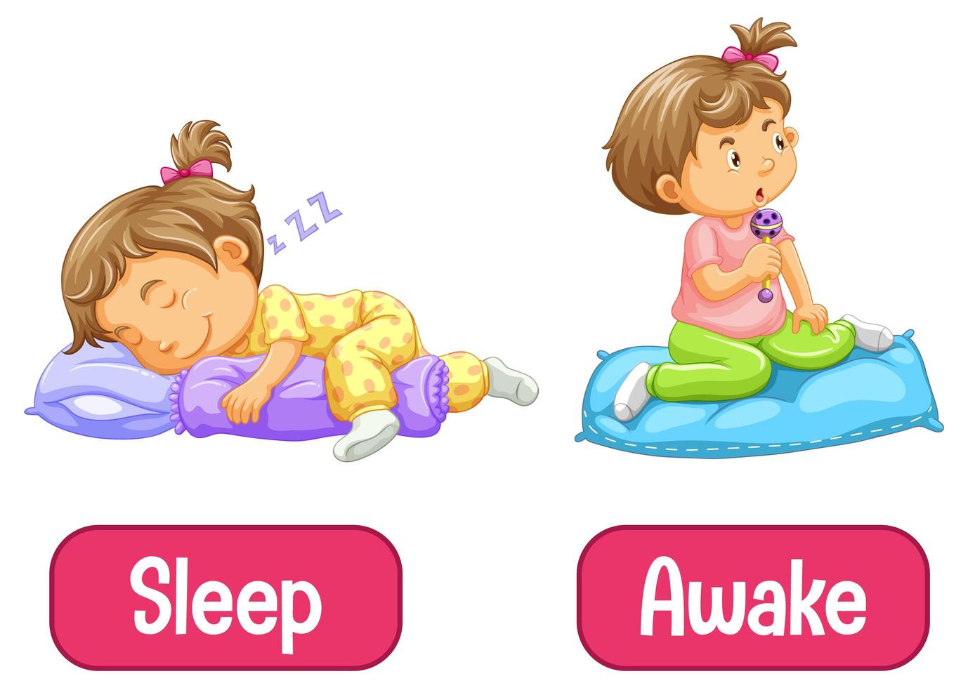 Opposite words with awake and sleep vector