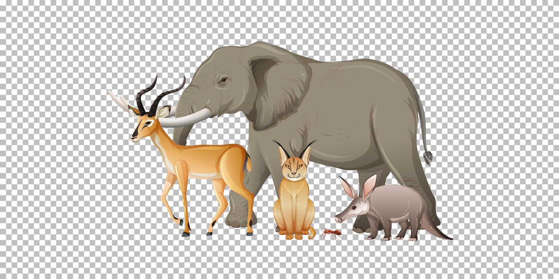Group of wild african animal on transparent background vector