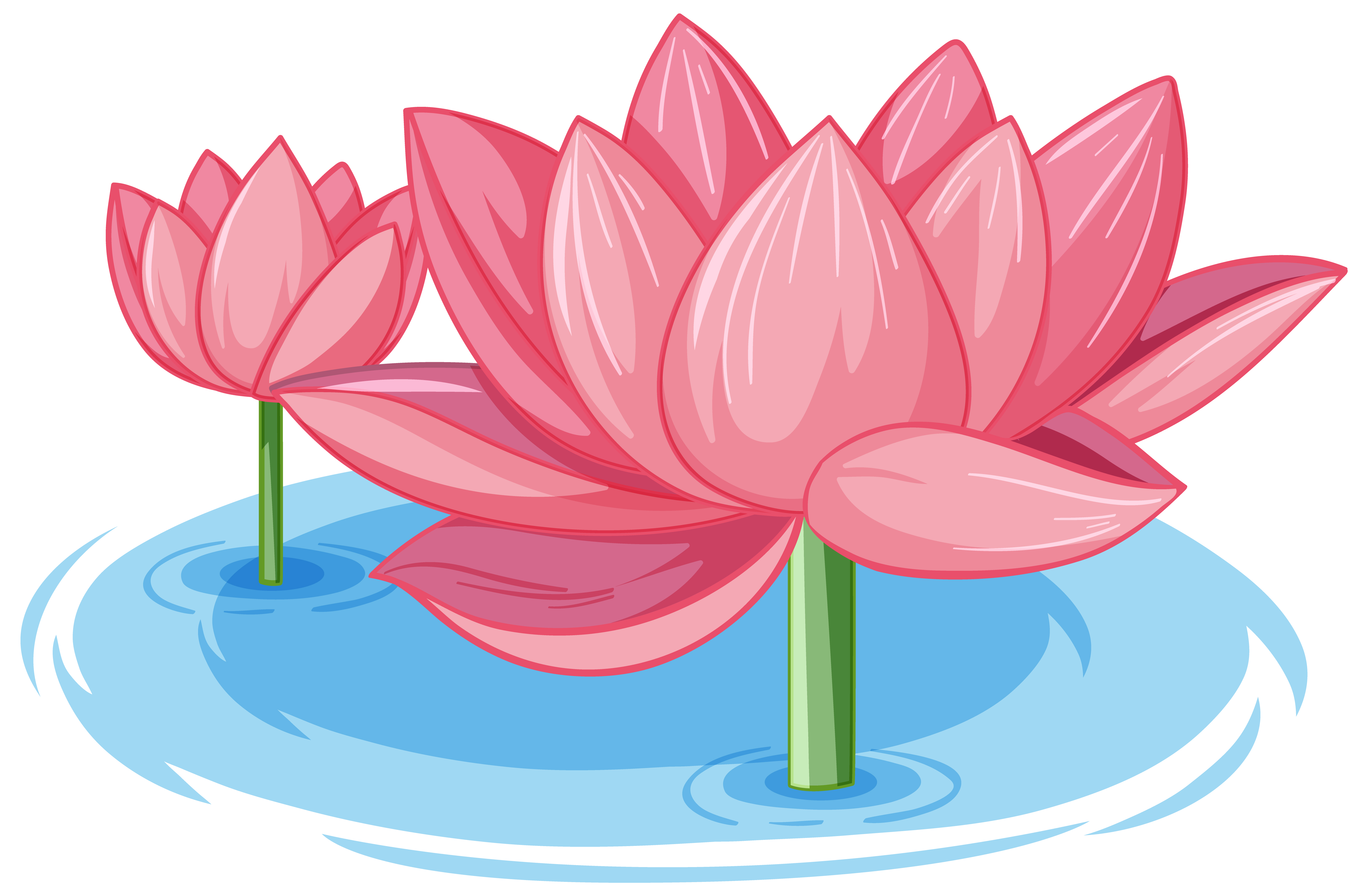 Pink Lotus Vector Art, Icons, and Graphics for Free Download Pink Lotus Vector Art, Icons, and Graphics for Free Download