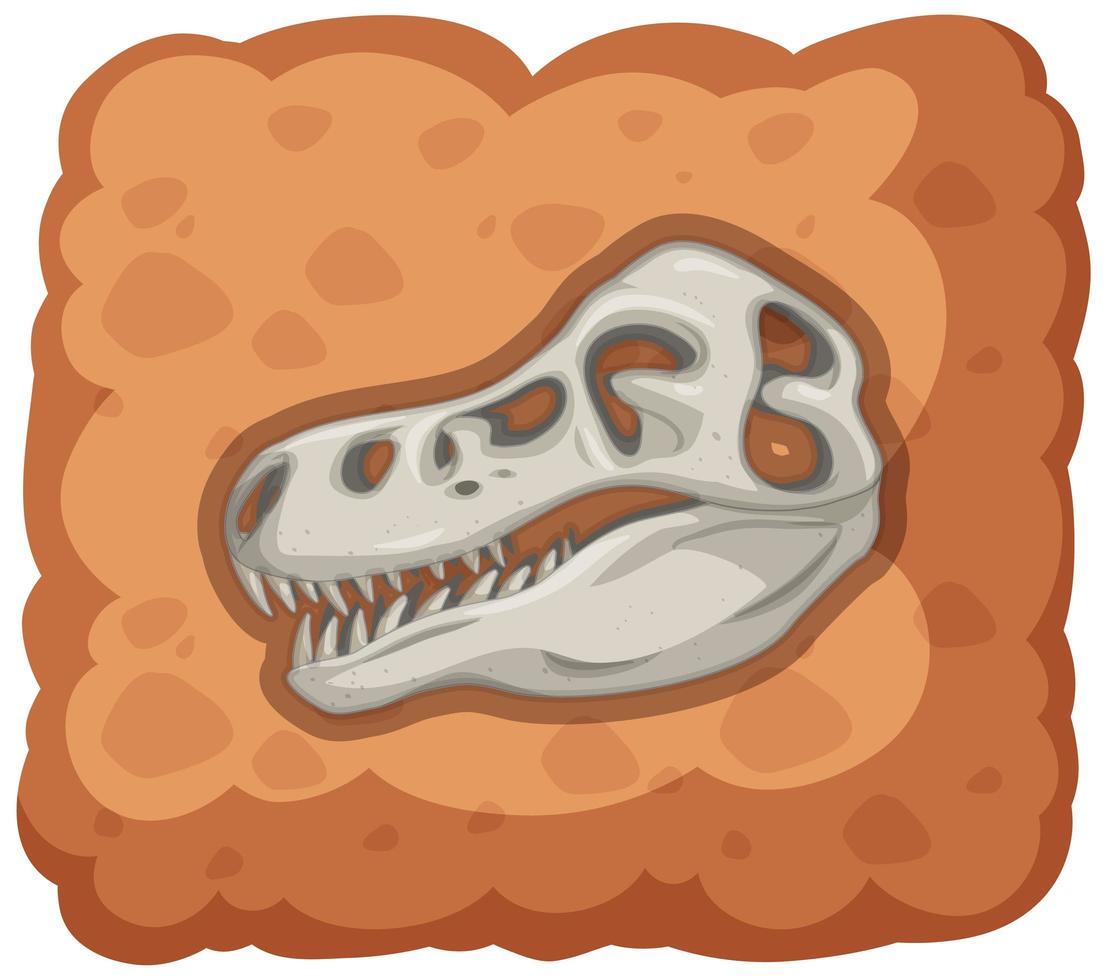 Fossil of extinct dinosaur on white background vector