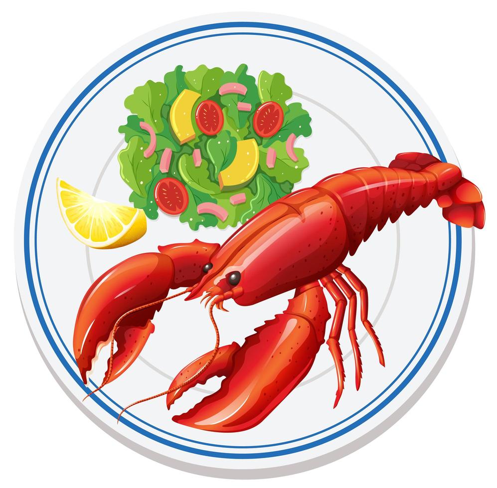 Aerial view of lobster salad vector