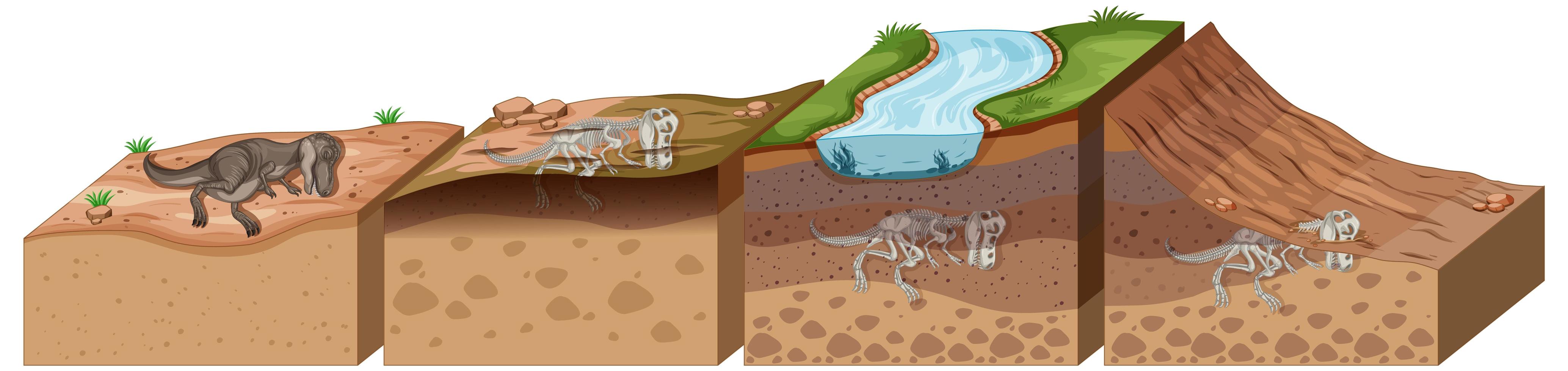 capas de suelo con fósiles de dinosaurios vector