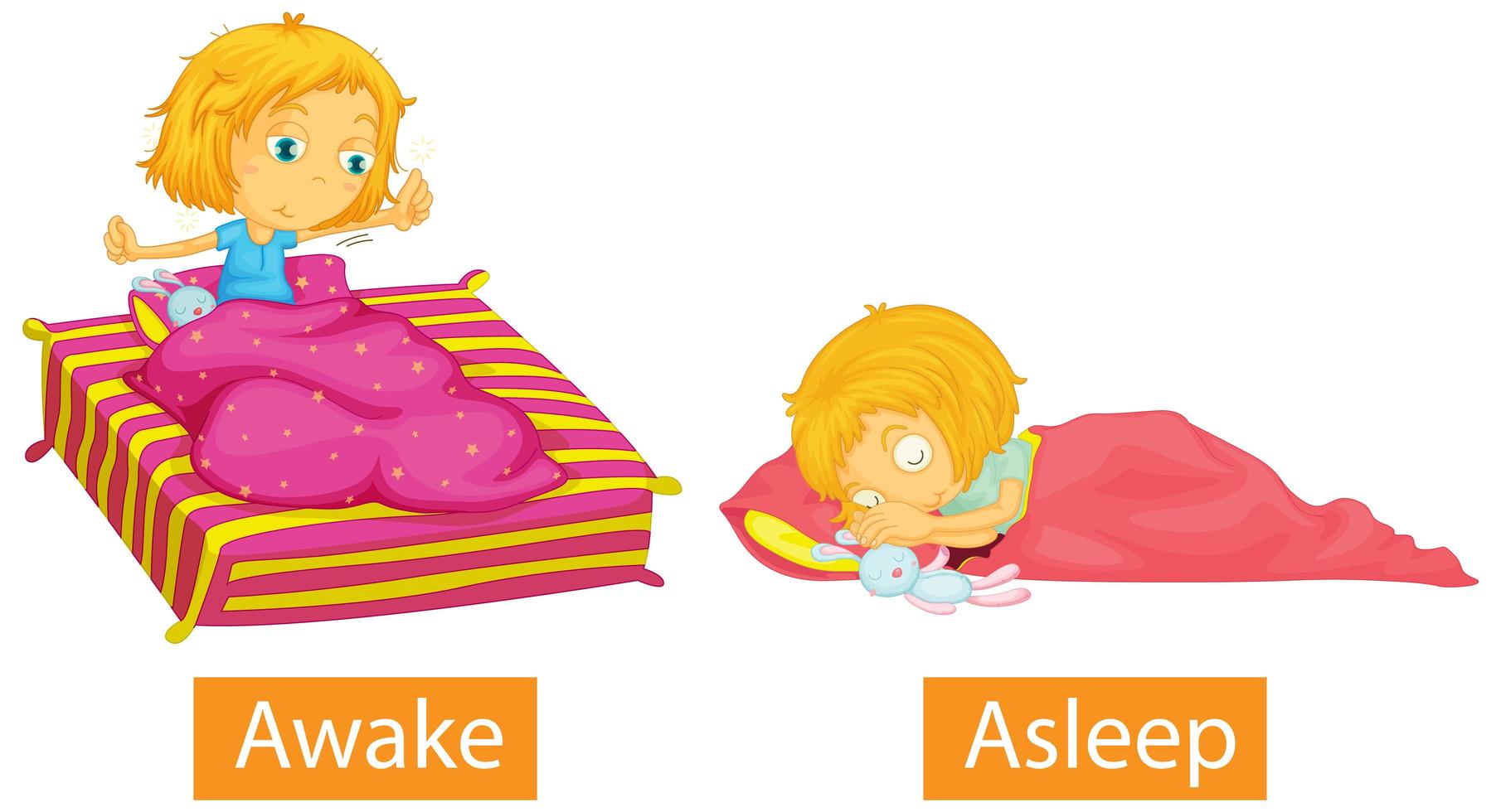 Opposite words with awake and asleep vector