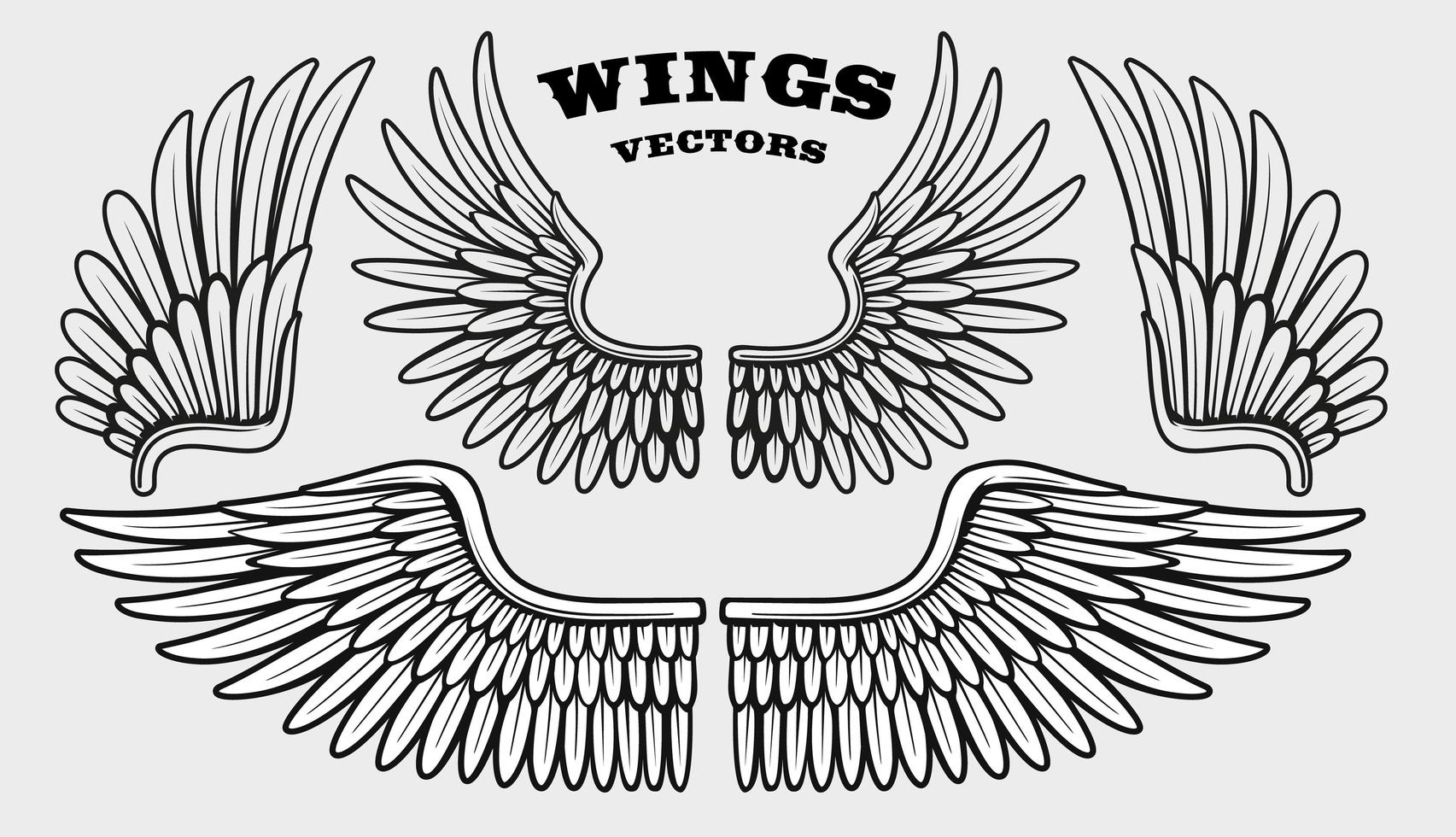 A set of different black and white wings vector