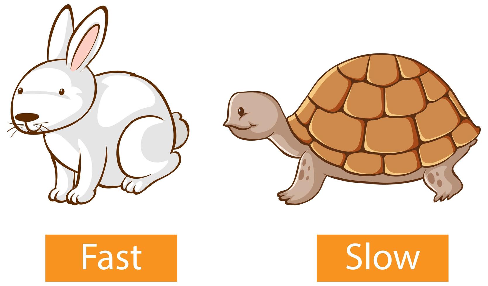 Opposite Adjectives Words With Fast And Slow 1591805 Vector Art At Vecteezy Opposite Adjectives Words With Fast And Slow 1591805 Vector Art At Vecteezy
