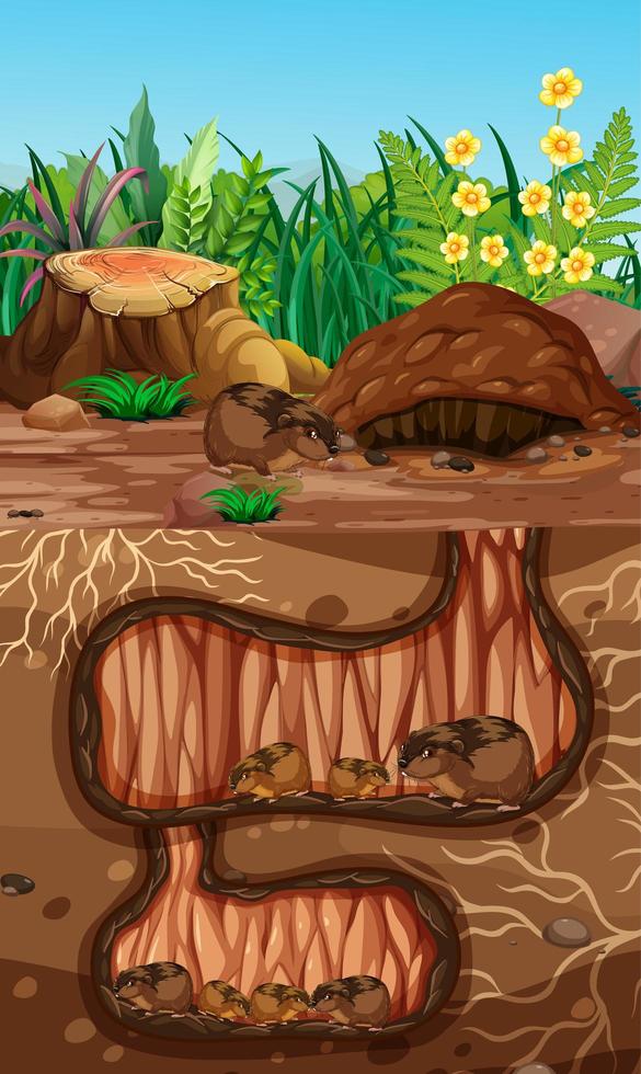 Underground animal hole with many talpidaes vector