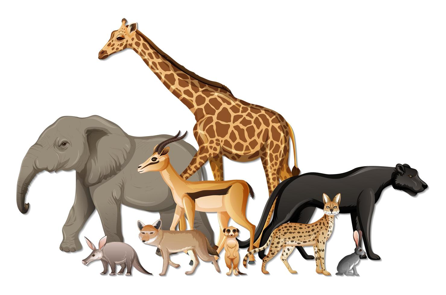 Group of wild African animals on white background vector