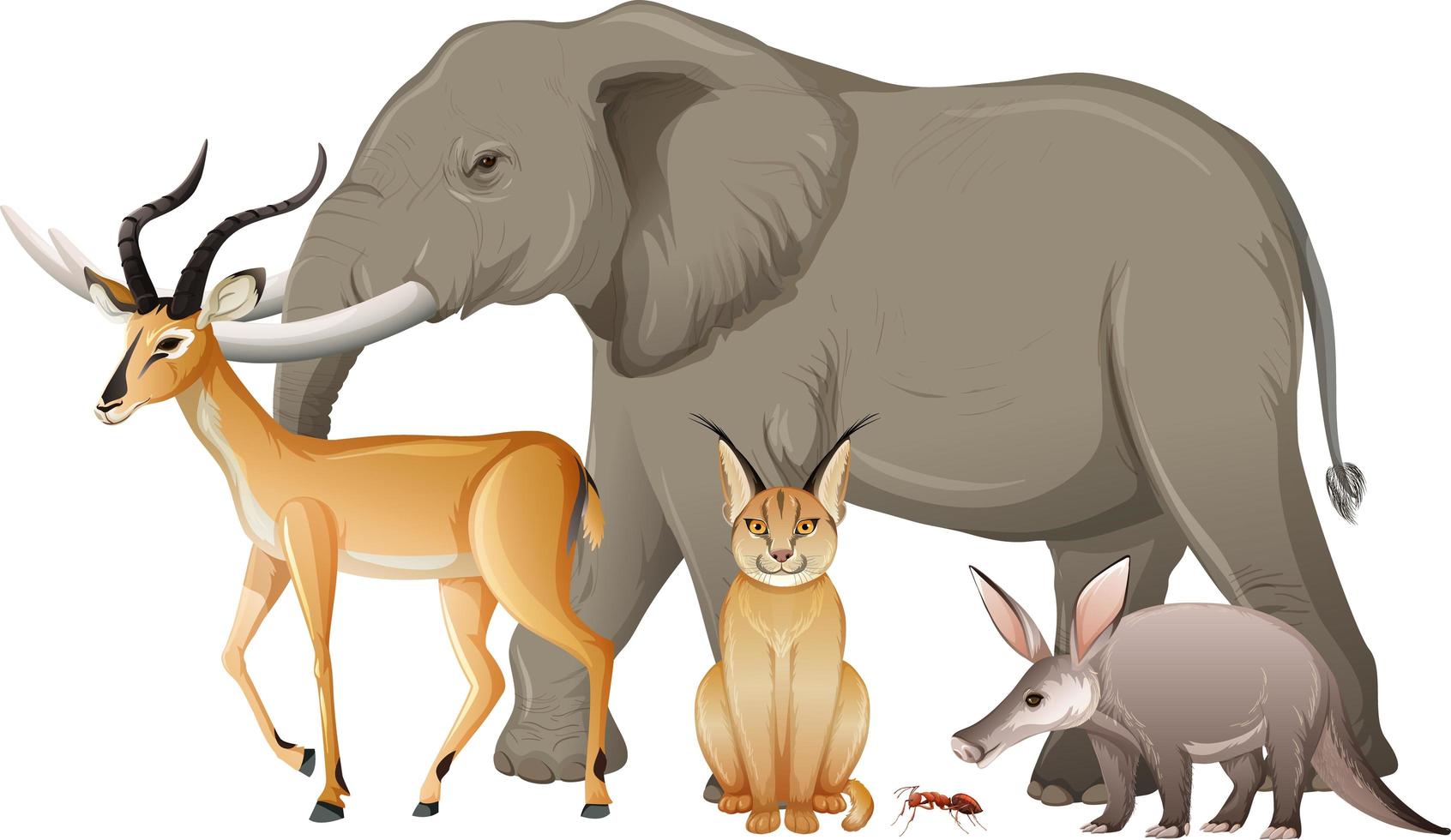 Grupo de animales salvajes africanos sobre fondo blanco. vector