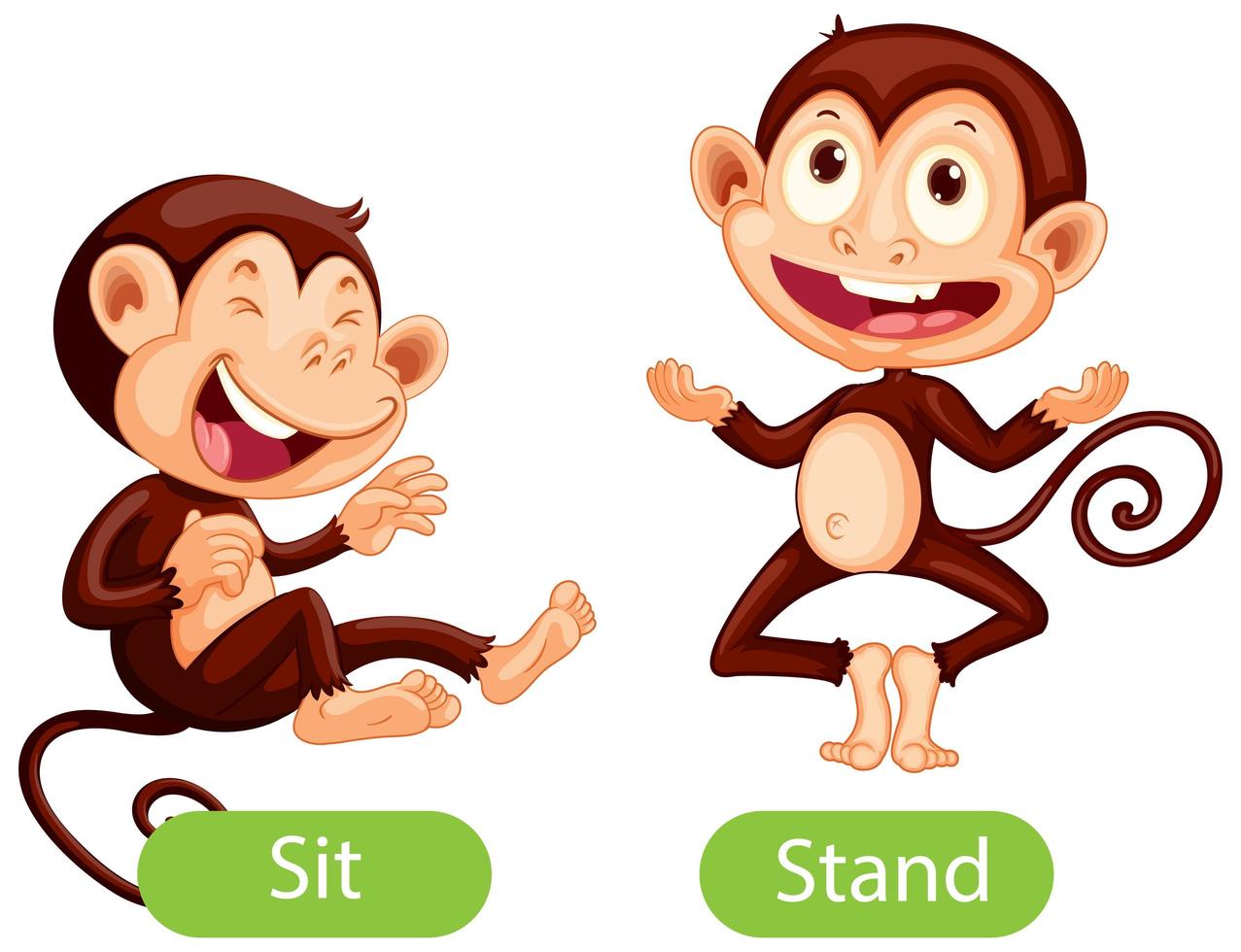 Opposite words with sit and stand vector