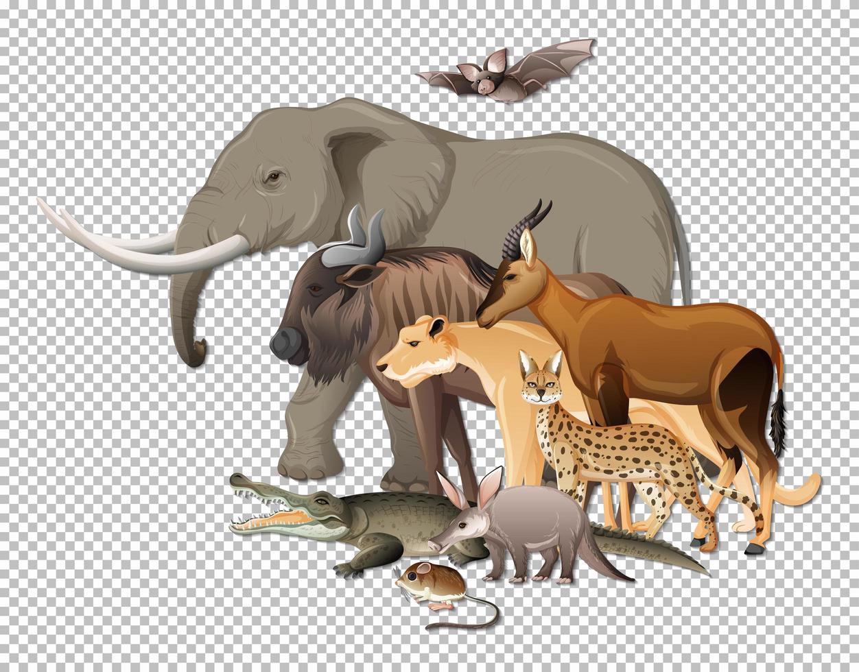 Group of wild african animals on transparent background vector