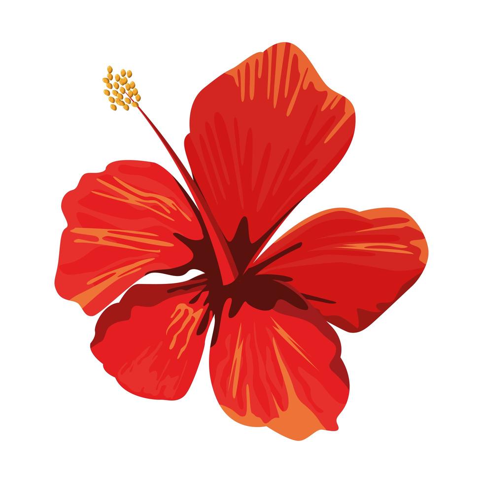 Cartoon hibiscus flower vector