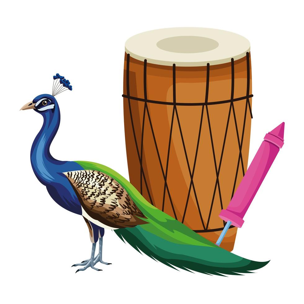 tambor mridangam y pavo real vector