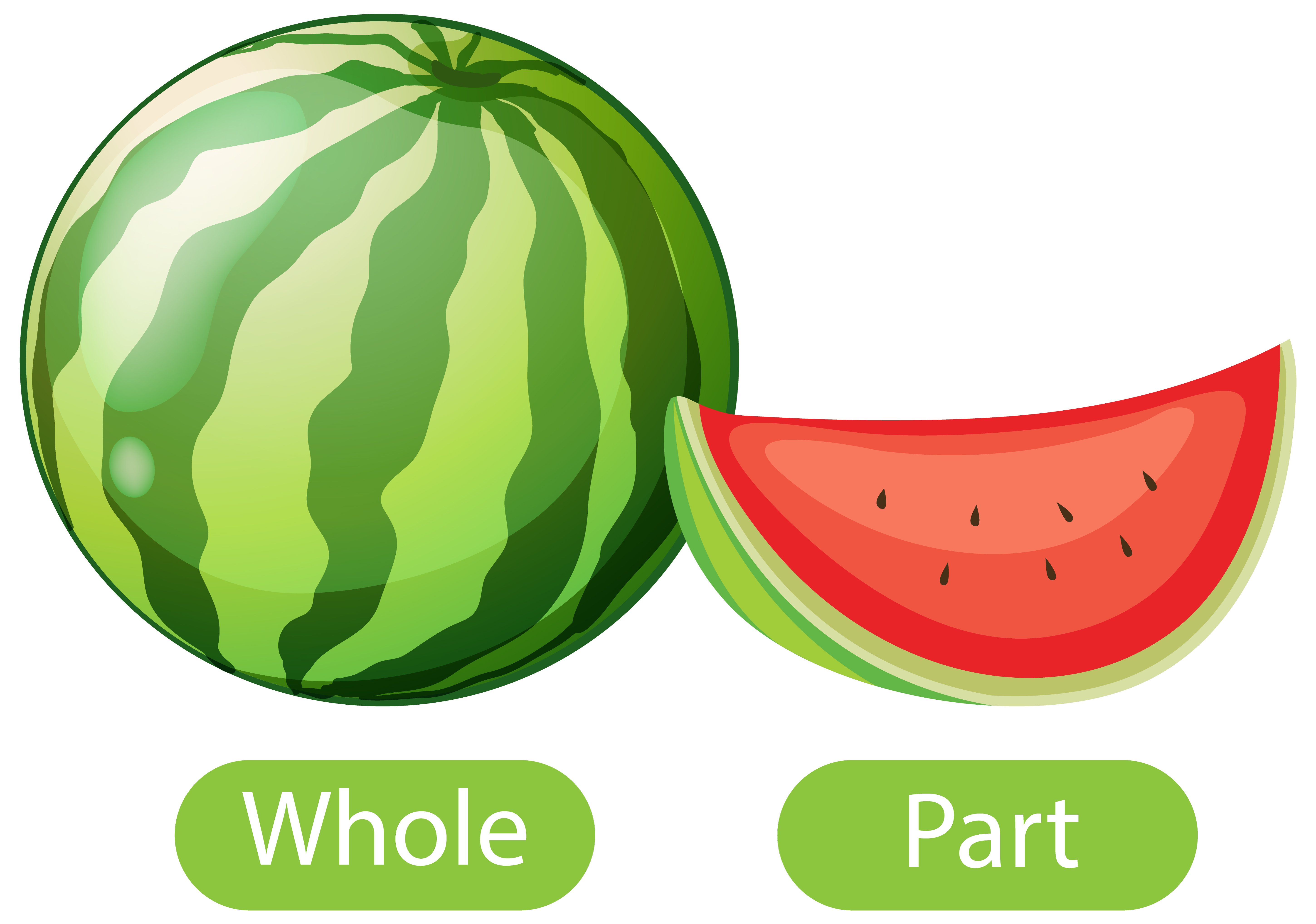 What Does The Whole Picture Mean What Does The Whole Picture Mean