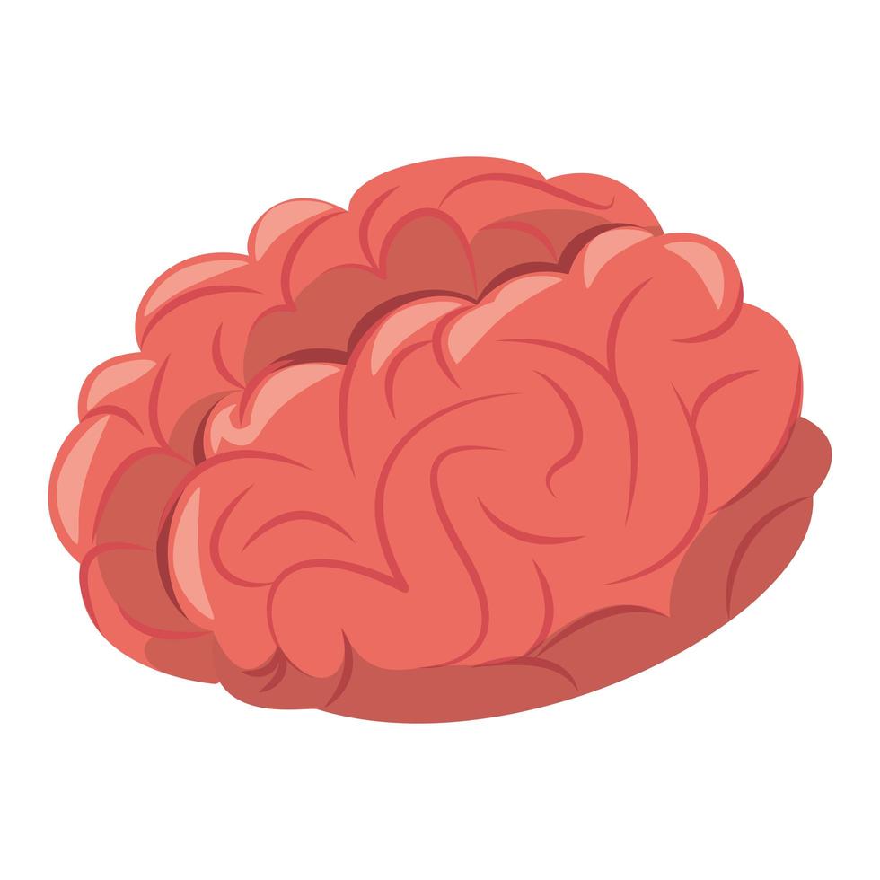 Human brain intelligence symbol cartoon isolated vector