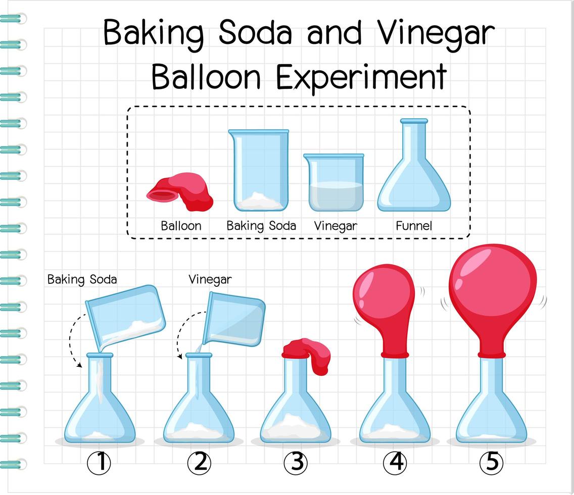 Science experiment with baking soda and vinegar balloon vector