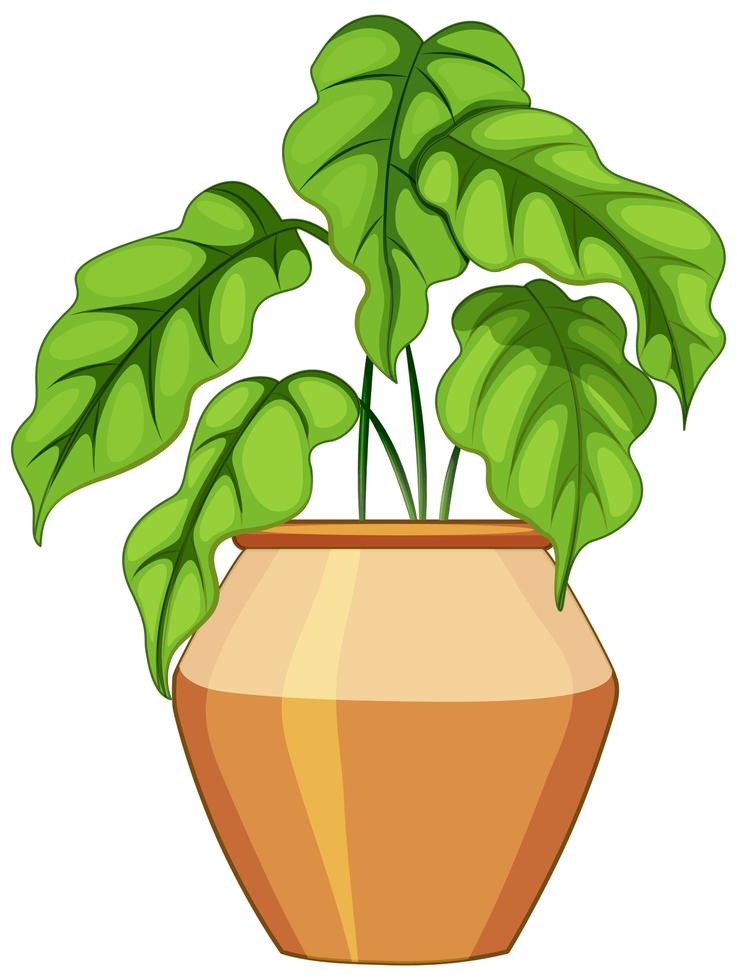 Planta en maceta con suelo aislado sobre fondo blanco. vector