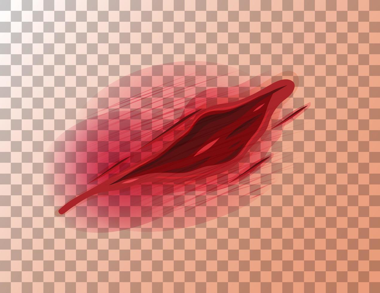 Lacerations skin wound on transparent background vector