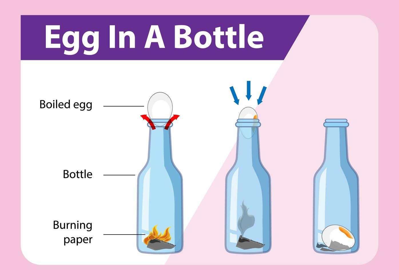 experimento científico con huevo en una botella. vector