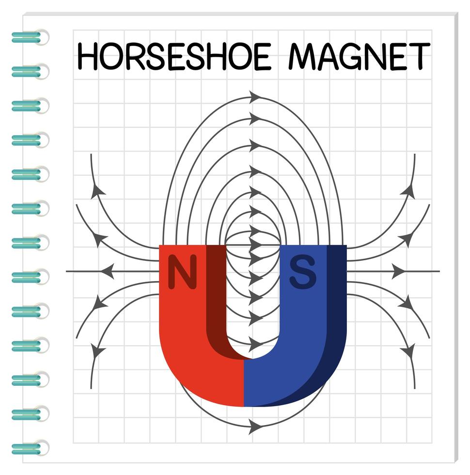 Horseshoe diagram for education 1609923 Vector Art at Vecteezy